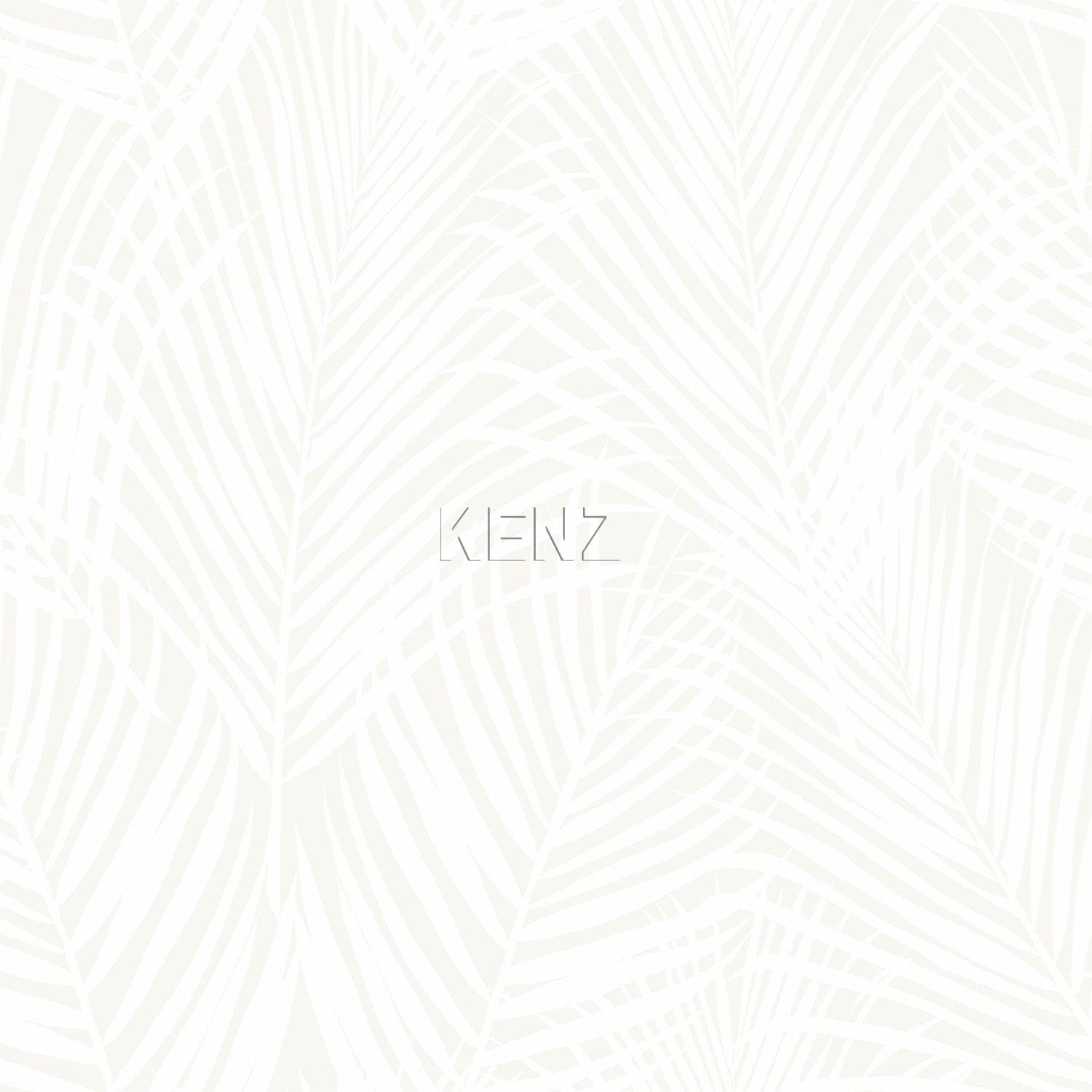 wallpaper palm leaves white 347741