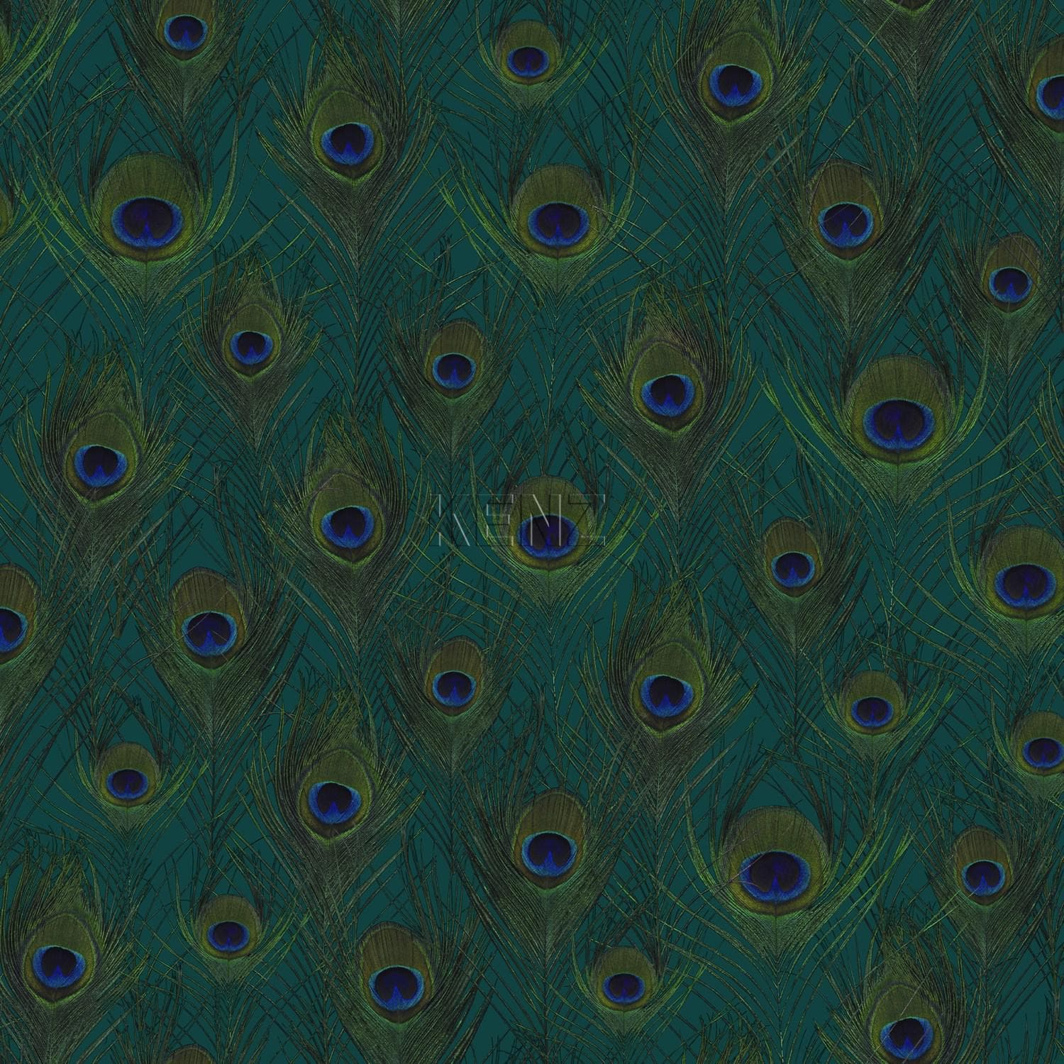 wallpaper peacock feathers sea green 347764