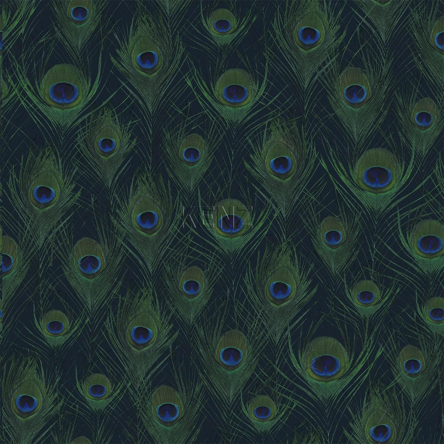 wallpaper peacock feathers dark blue 347766