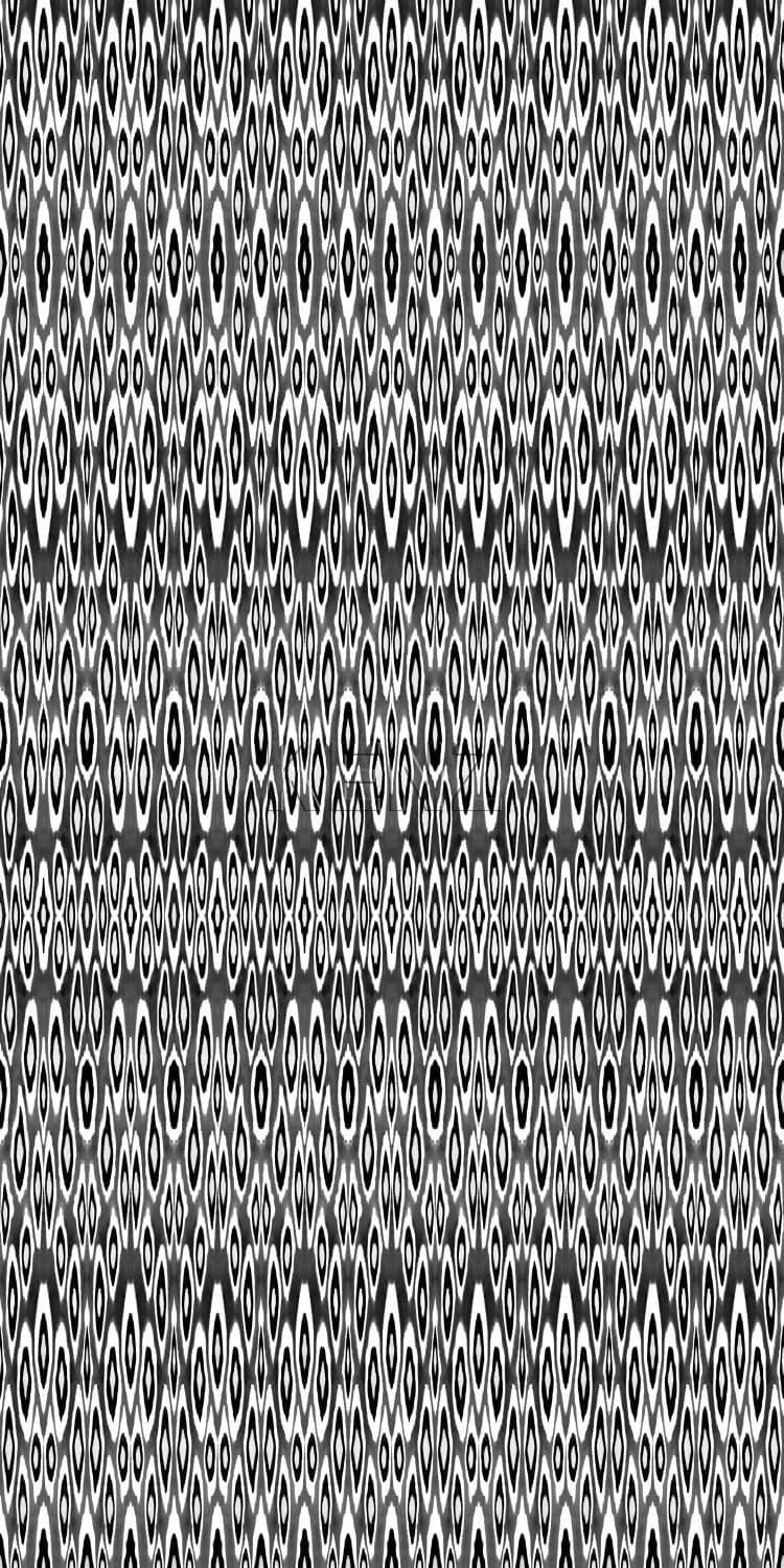 wall mural coco ikat black 356903
