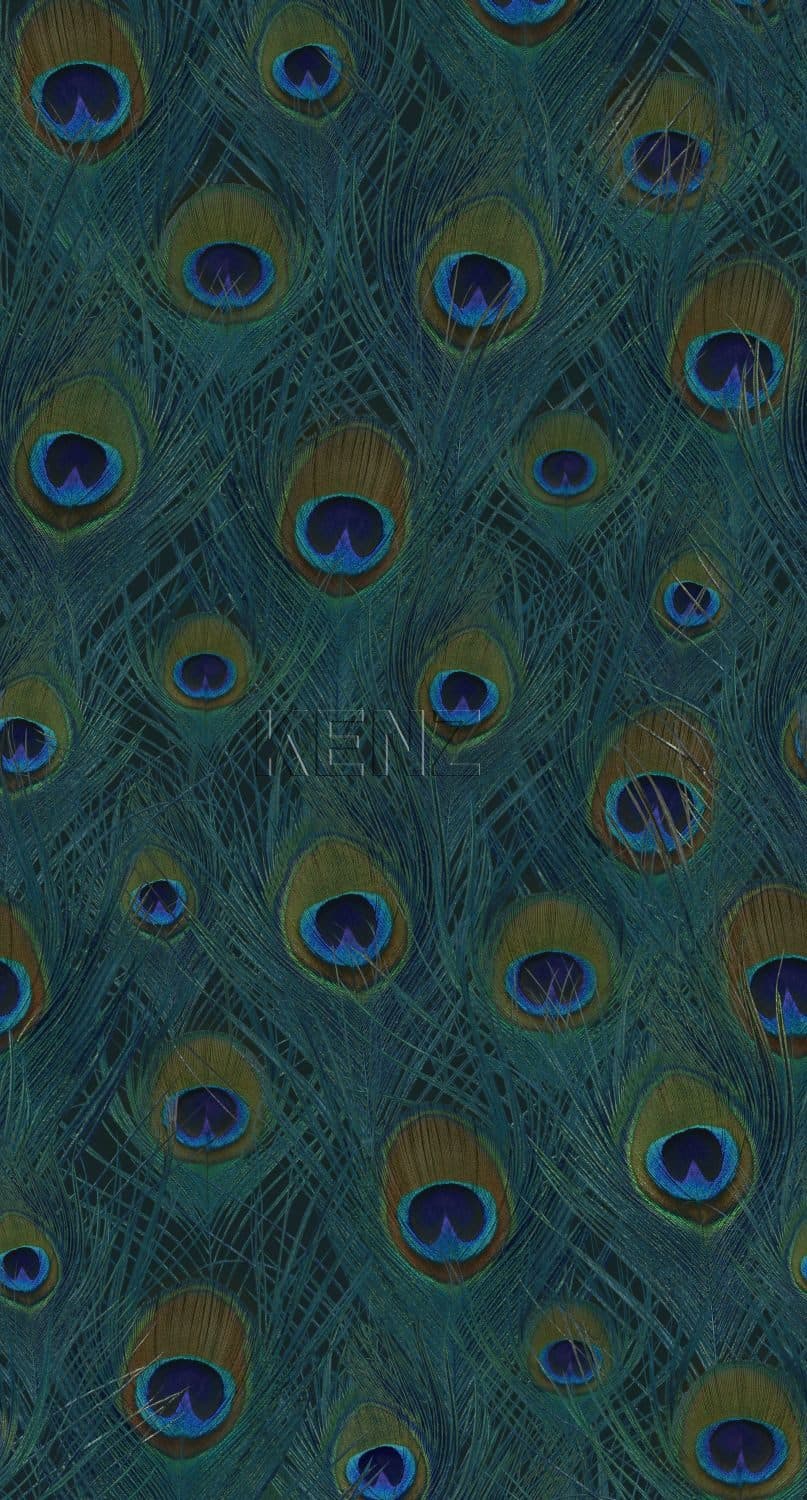 wall mural peacock feathers sea green 357245