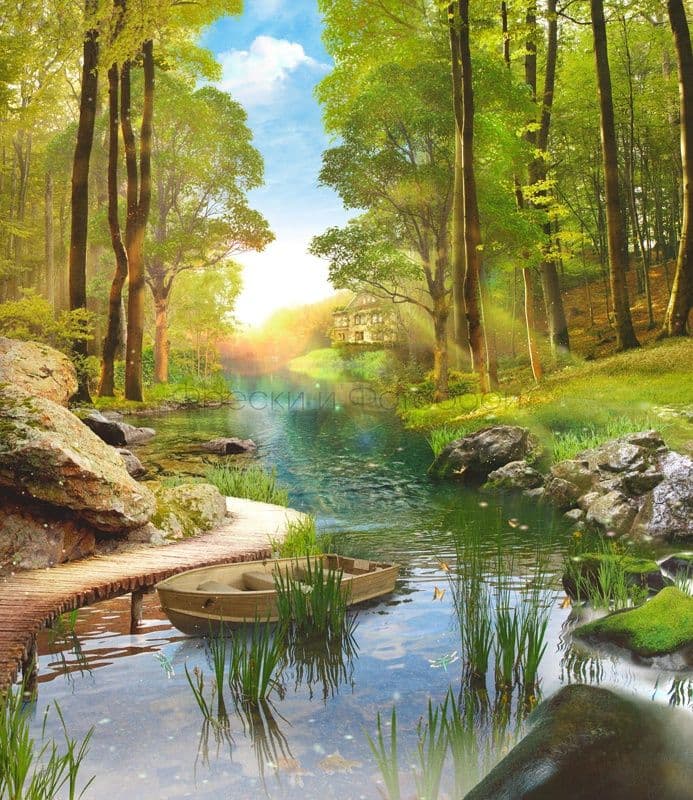 Forest Landscape