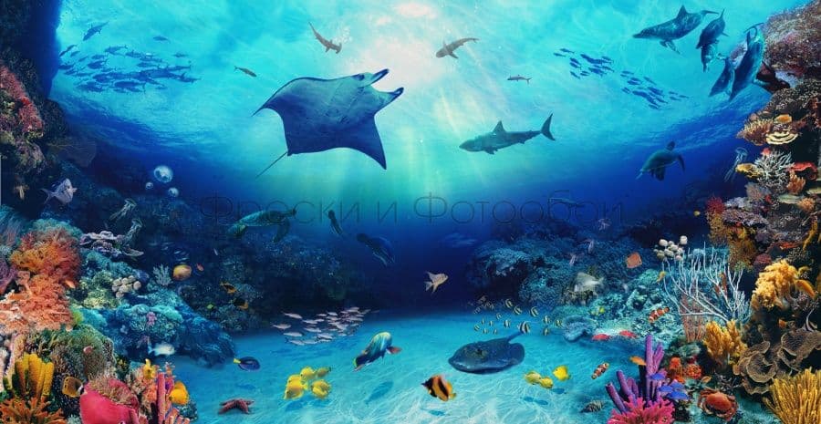 Sea Inhabitants
