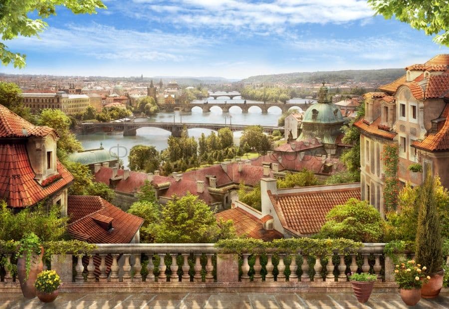 Bridges View
