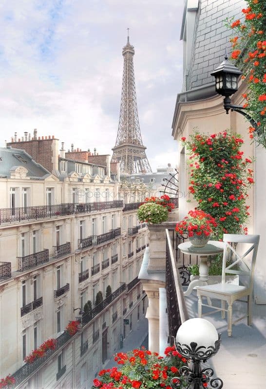 Parisian Street