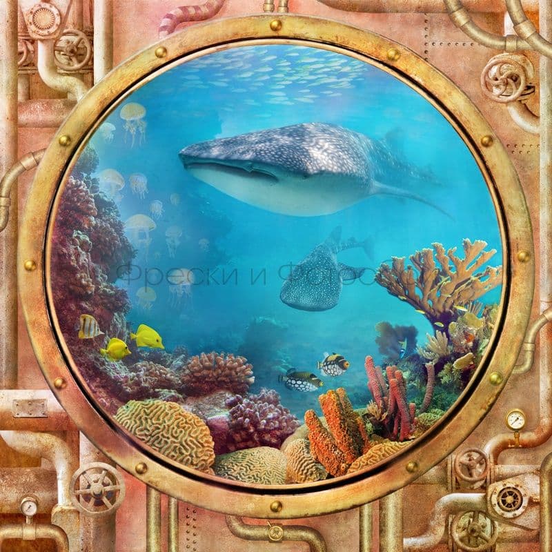 Shark In A Porthole