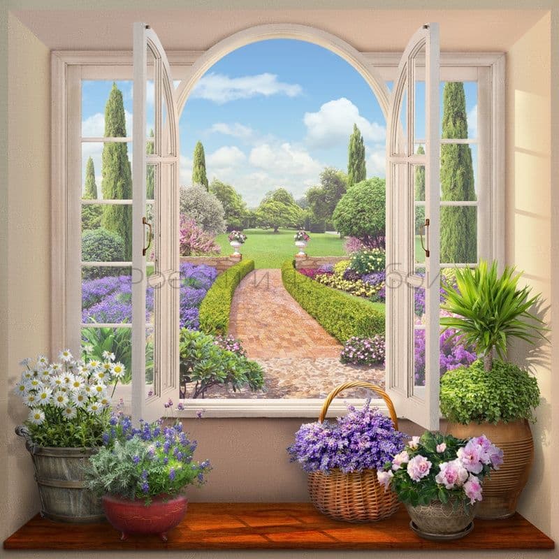 View Of A Blooming Garden
