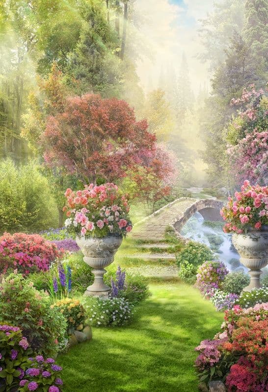 Fairy Brook