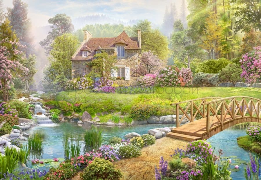 House Near A Pond