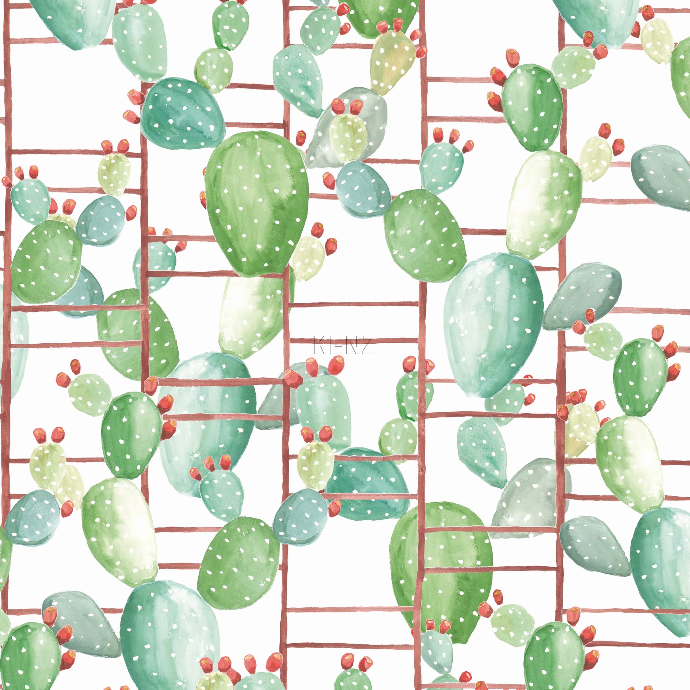 Chumbera - 5900023