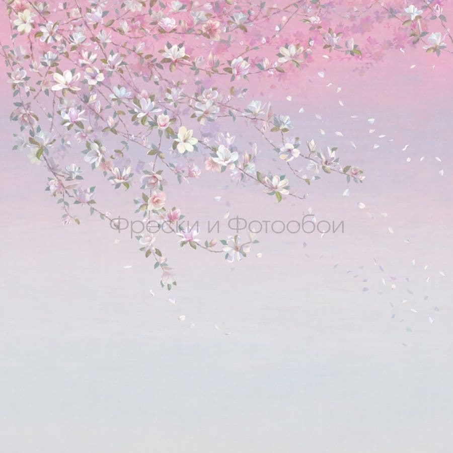 Magnolia