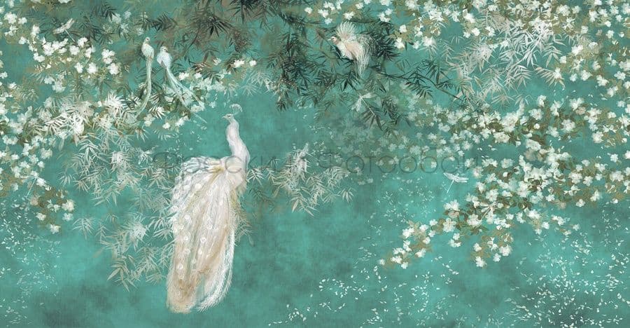 White Peacock