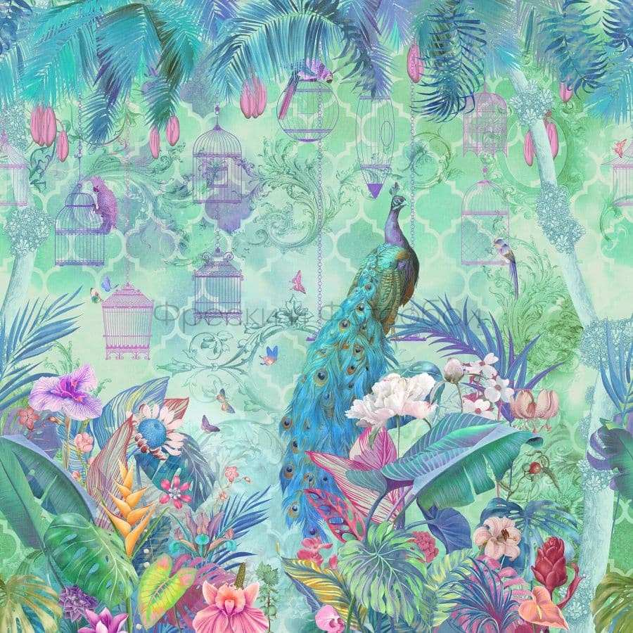 Beautiful Peacock