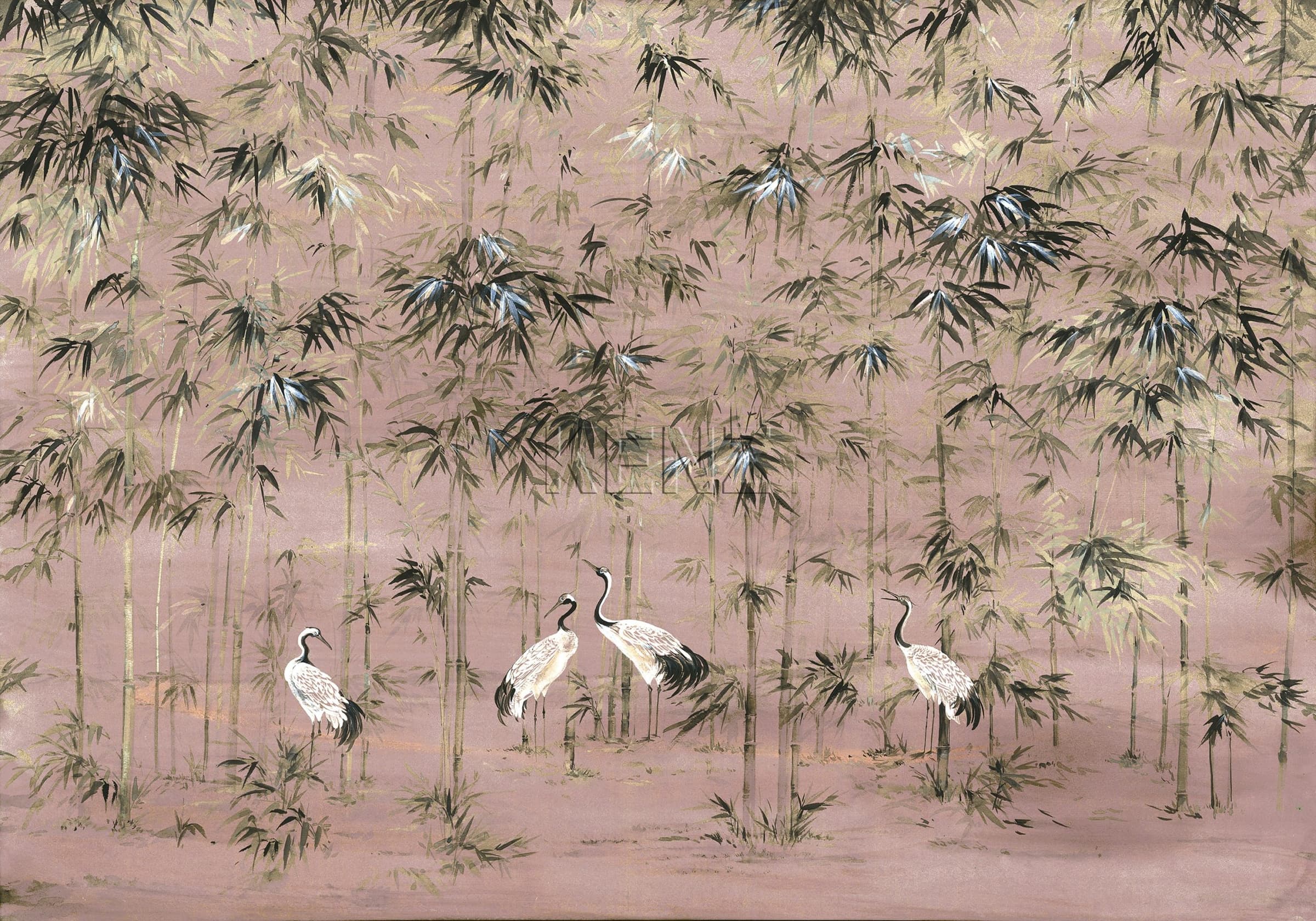 Garzas Rose