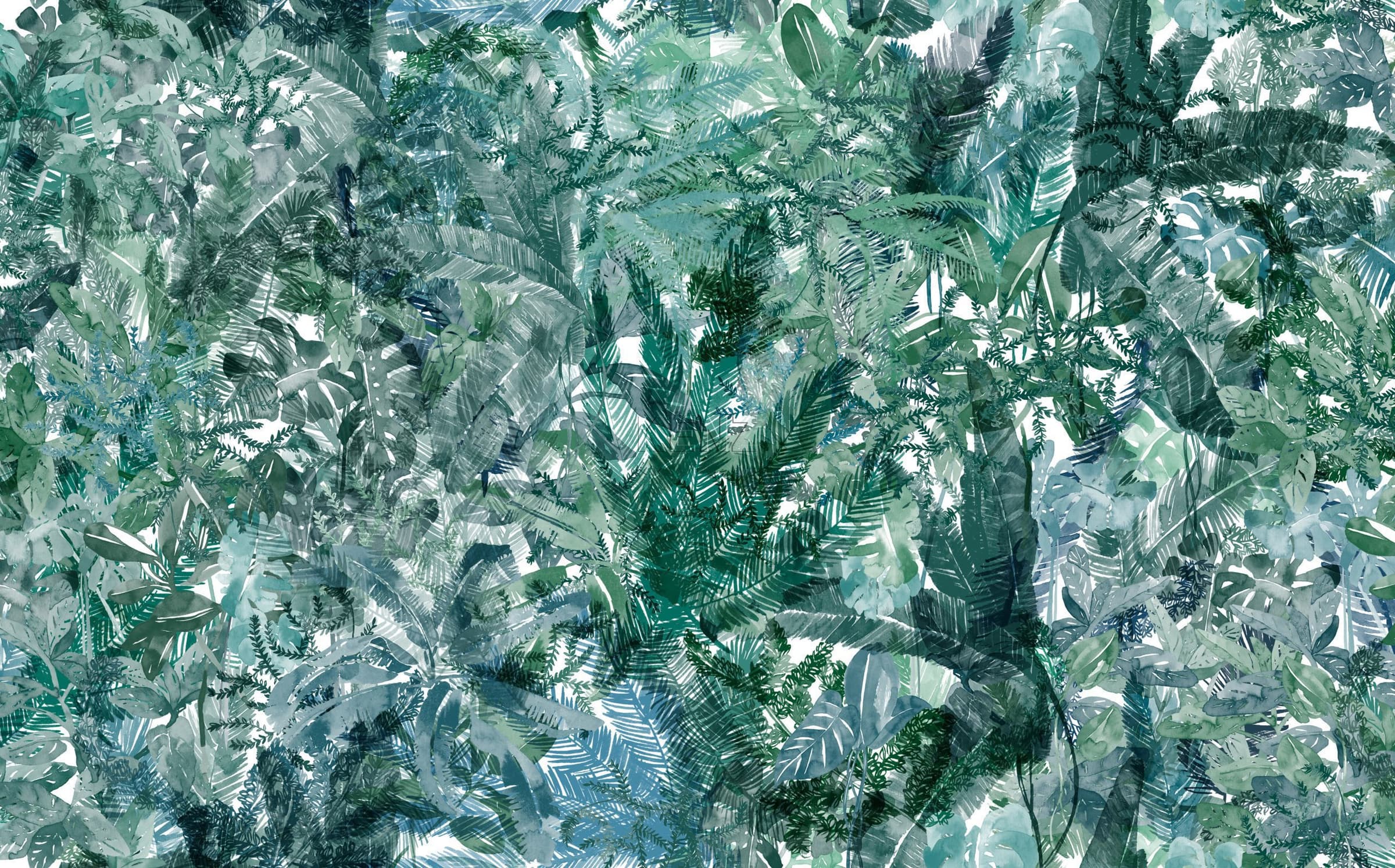 Jungle Dream Bahía