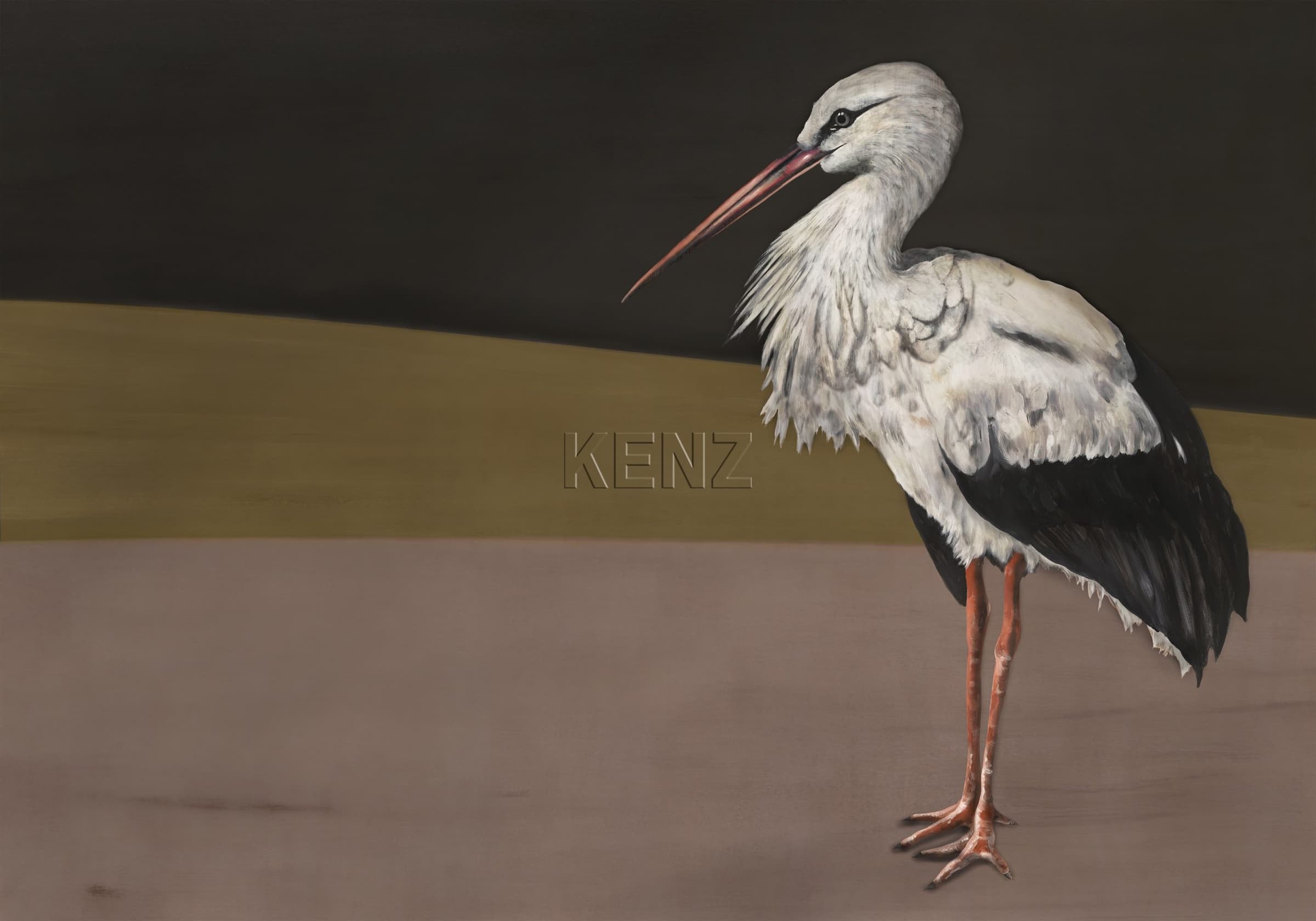 Stork Mother Black