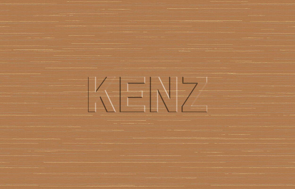 020/1, Ins9