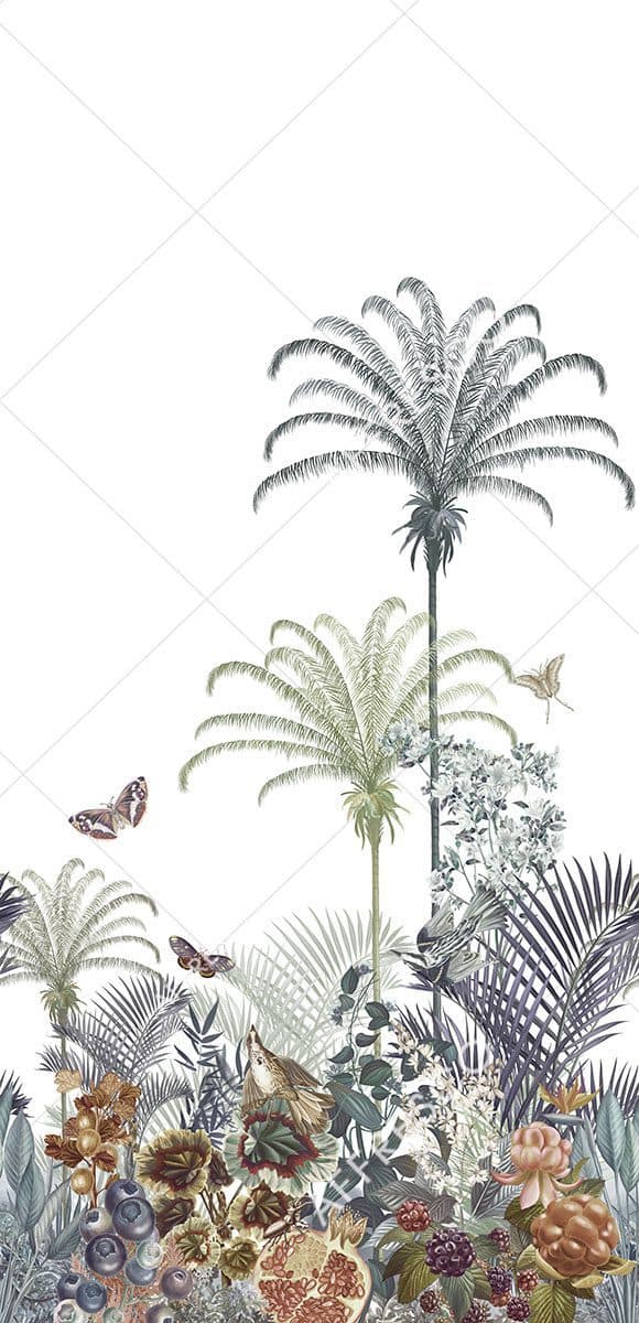 OFA1504-COL3