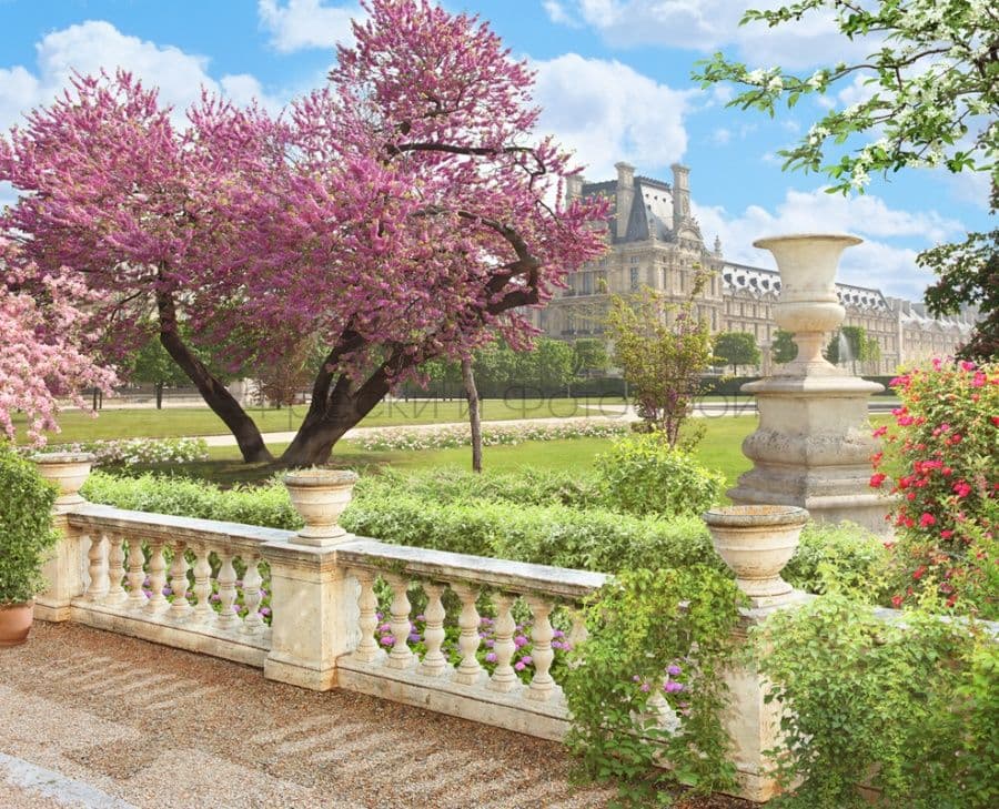 Garden With Oriental Cherry