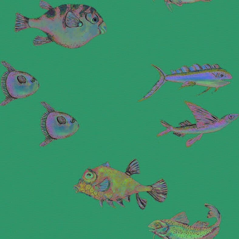 Peces Santamans Marina