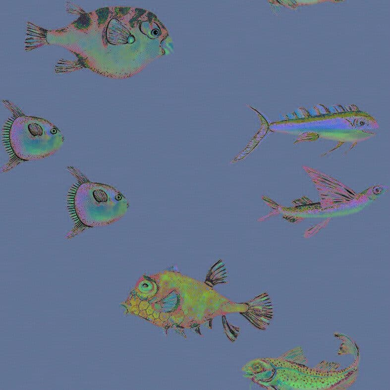 Peces Santamans Porder