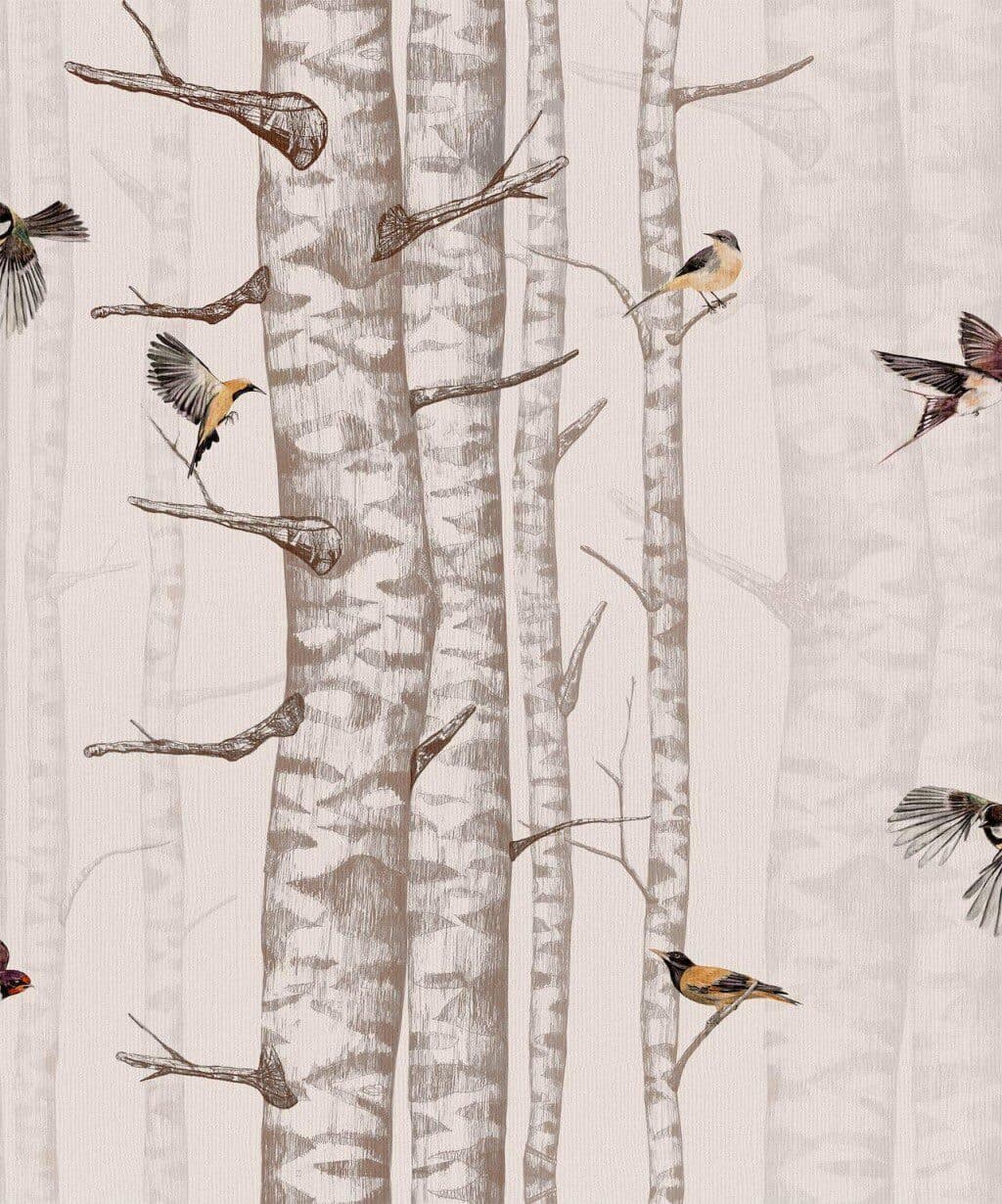 Birch Trees Pink