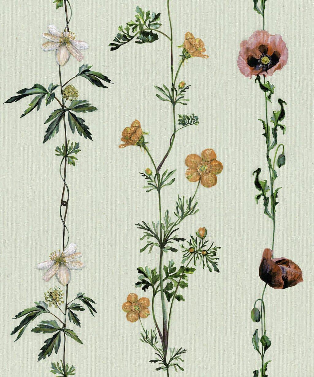 Climbing Flowers Melon