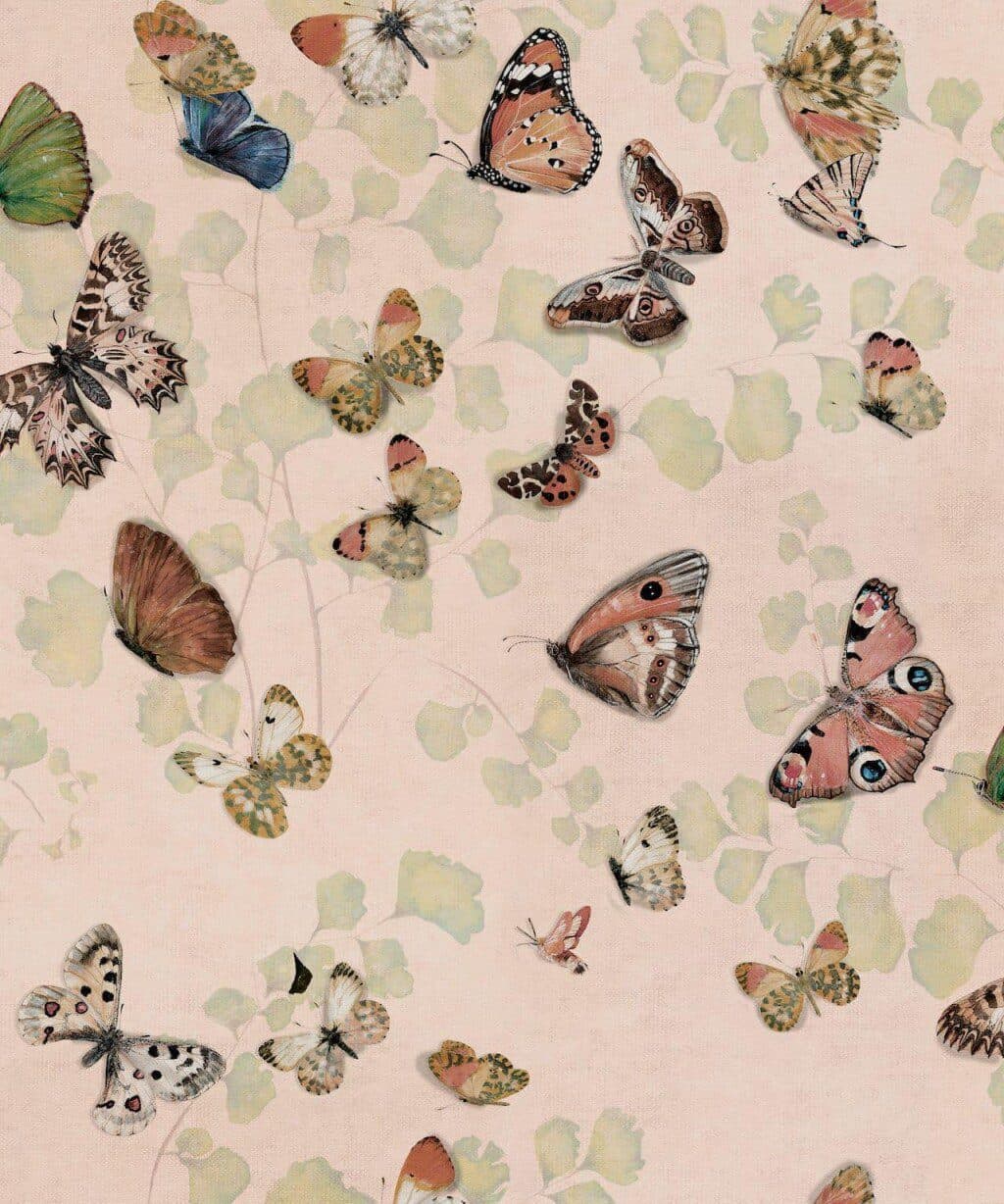 Magic butterflies Sweet