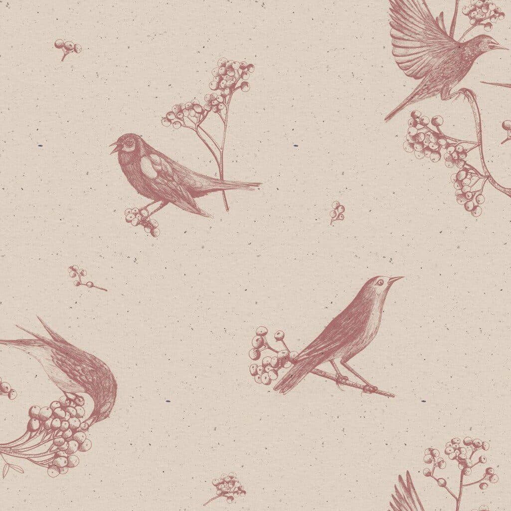 Sweet Birds Rose