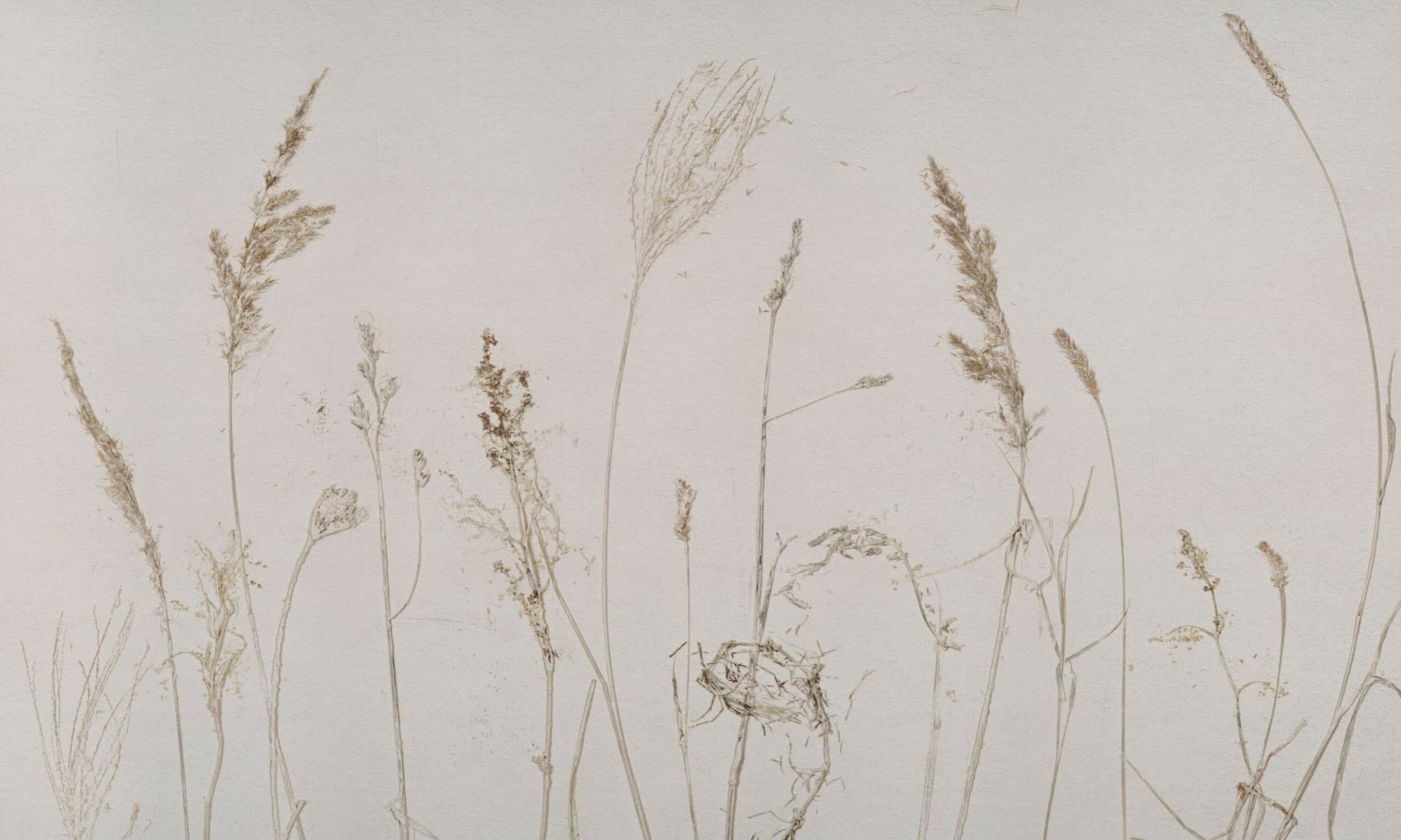 Campo di Avena