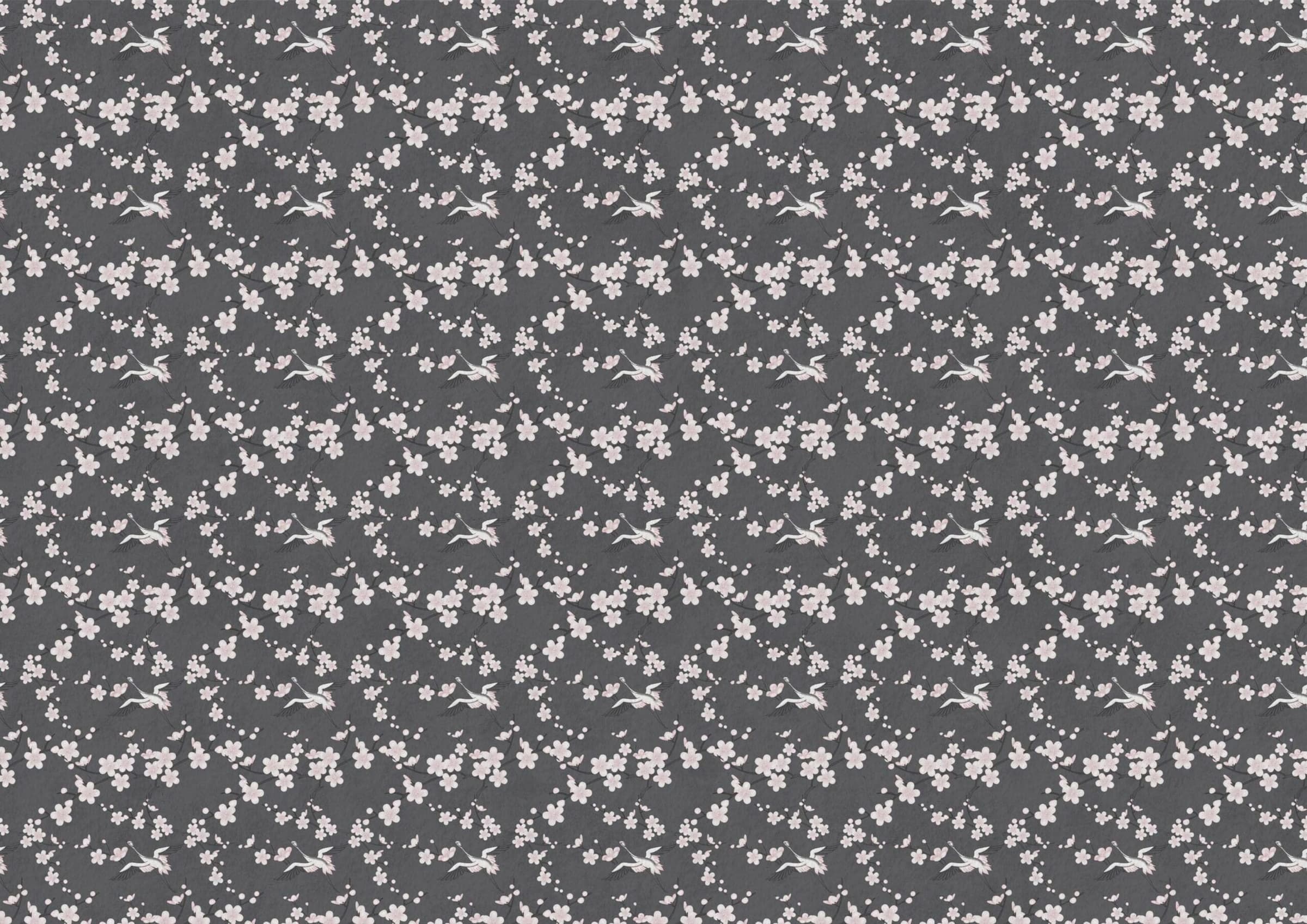 Sakura dark