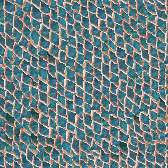 Fish Skin – 5800033