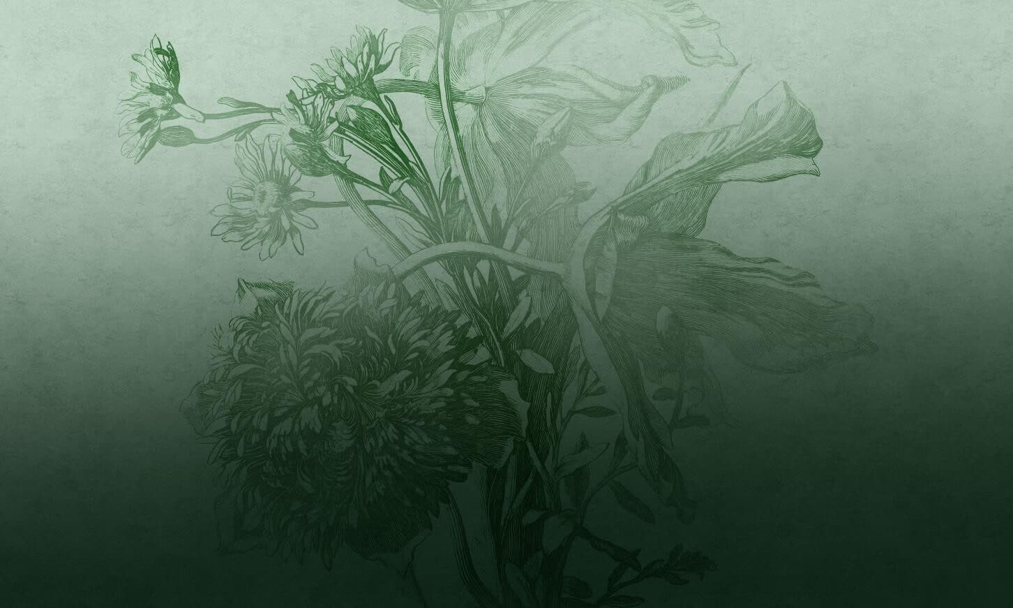 Green Ombre Flower
