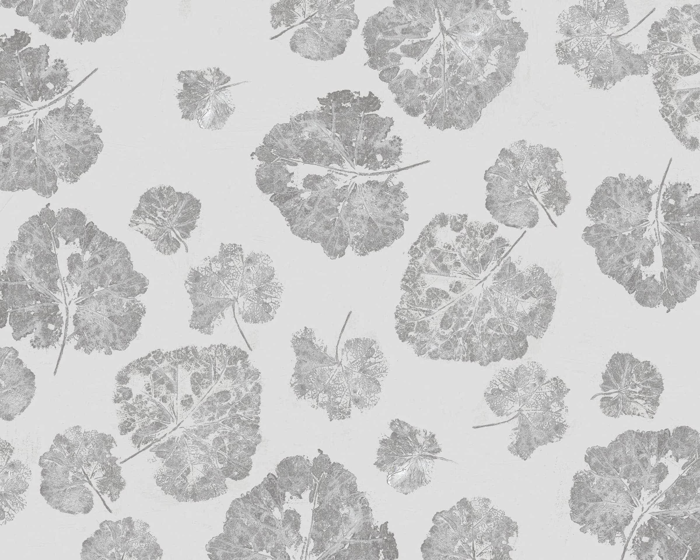 Foglia Dust