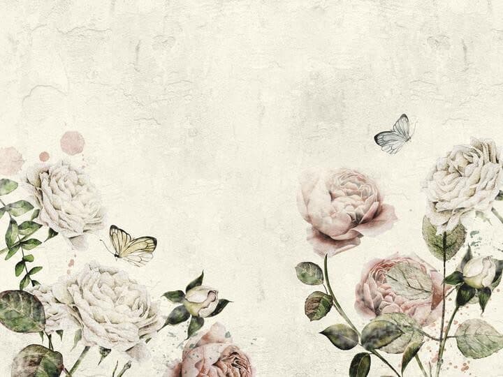 Rose Dream white