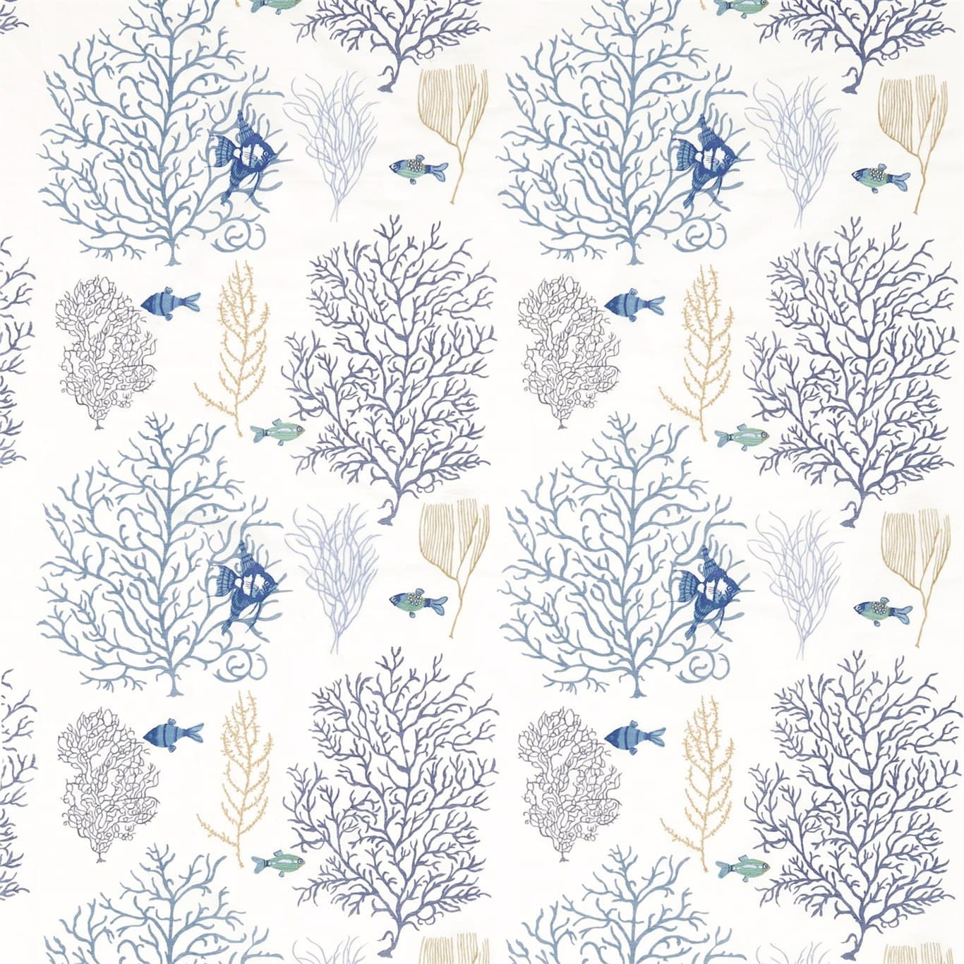 Coral & Fish