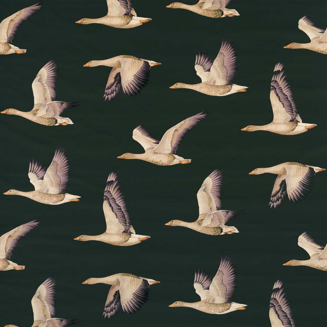 Elysian Geese