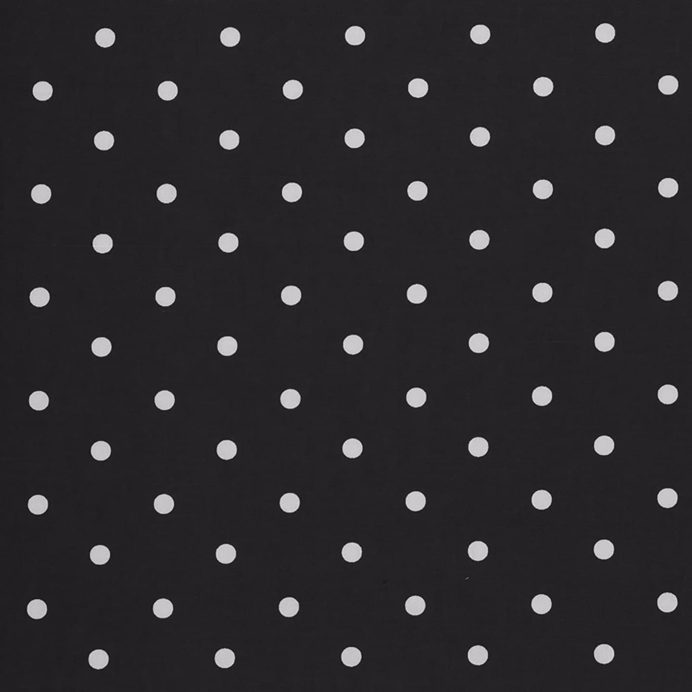 Dotty
