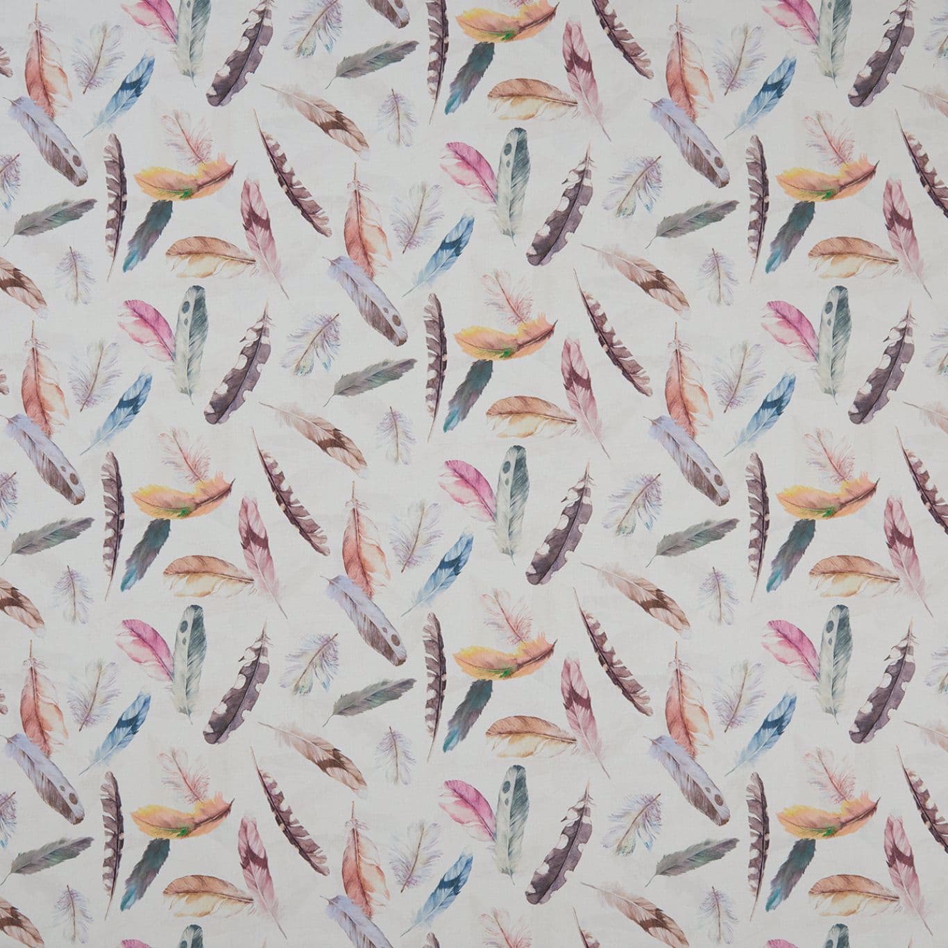 Feather