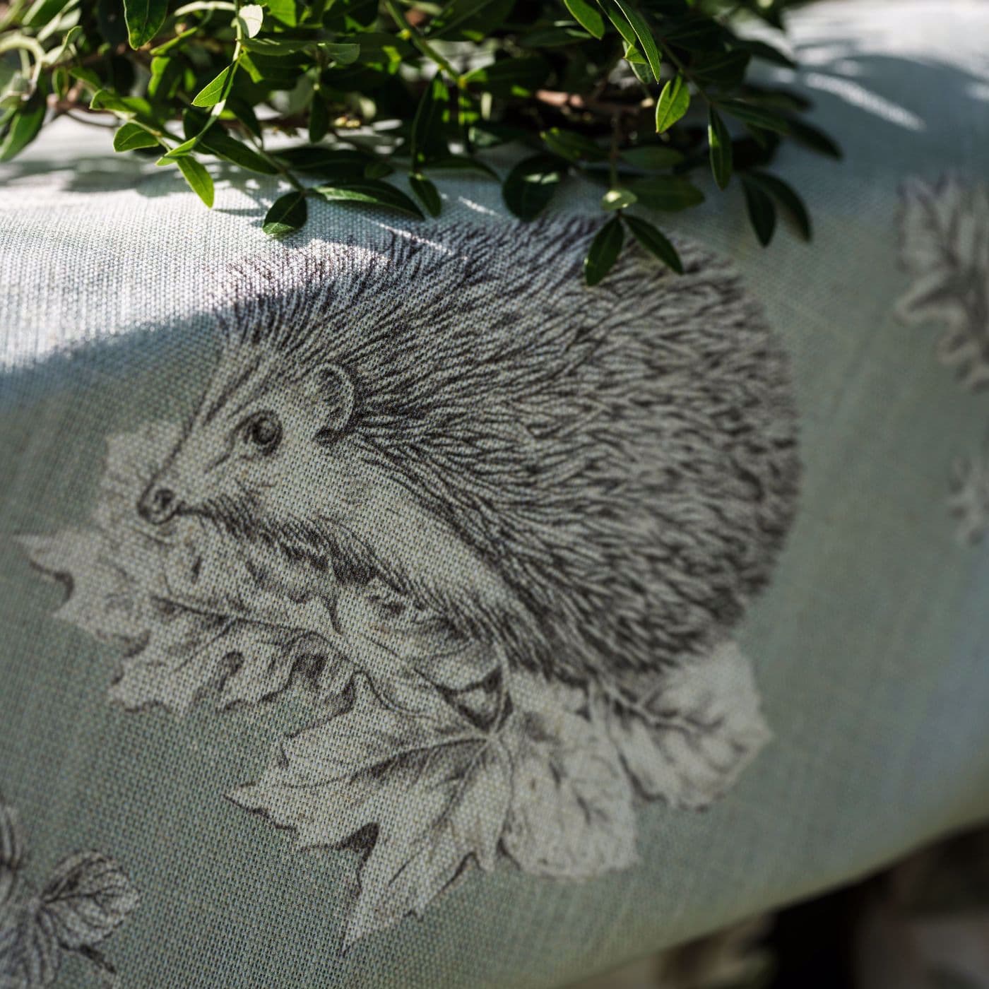 Squirrel & Hedgehog