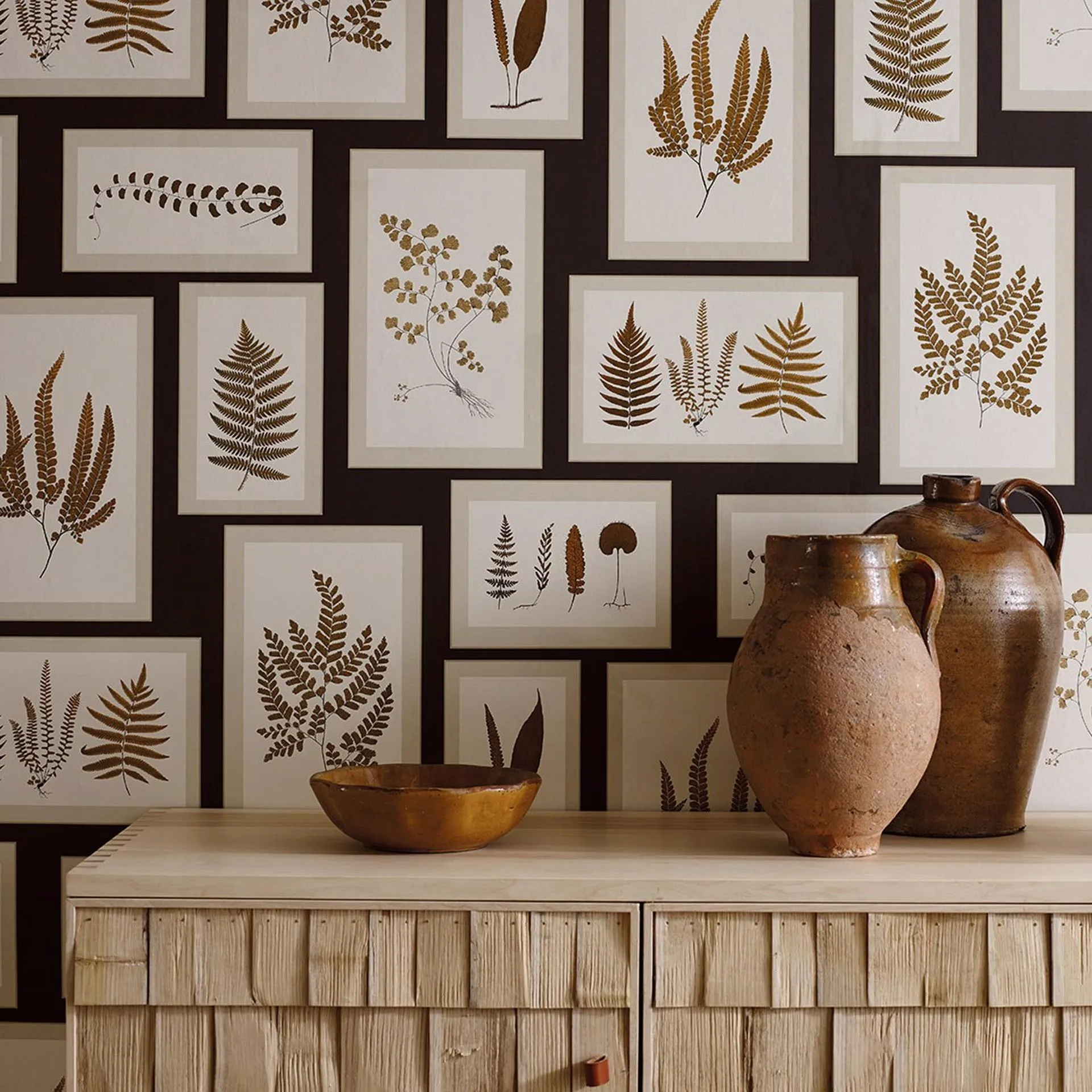FERN GALLERY