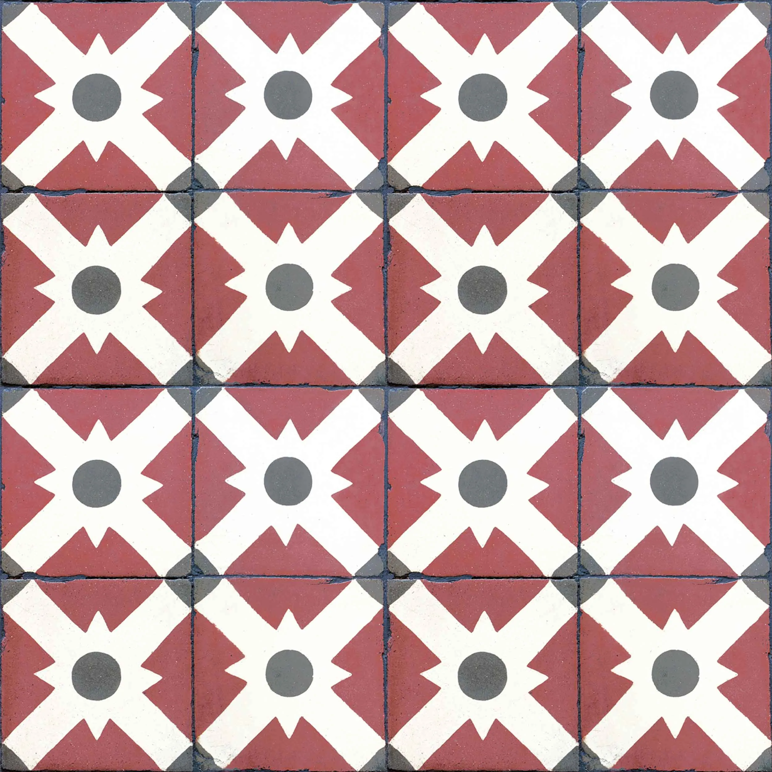 Celosia Clay