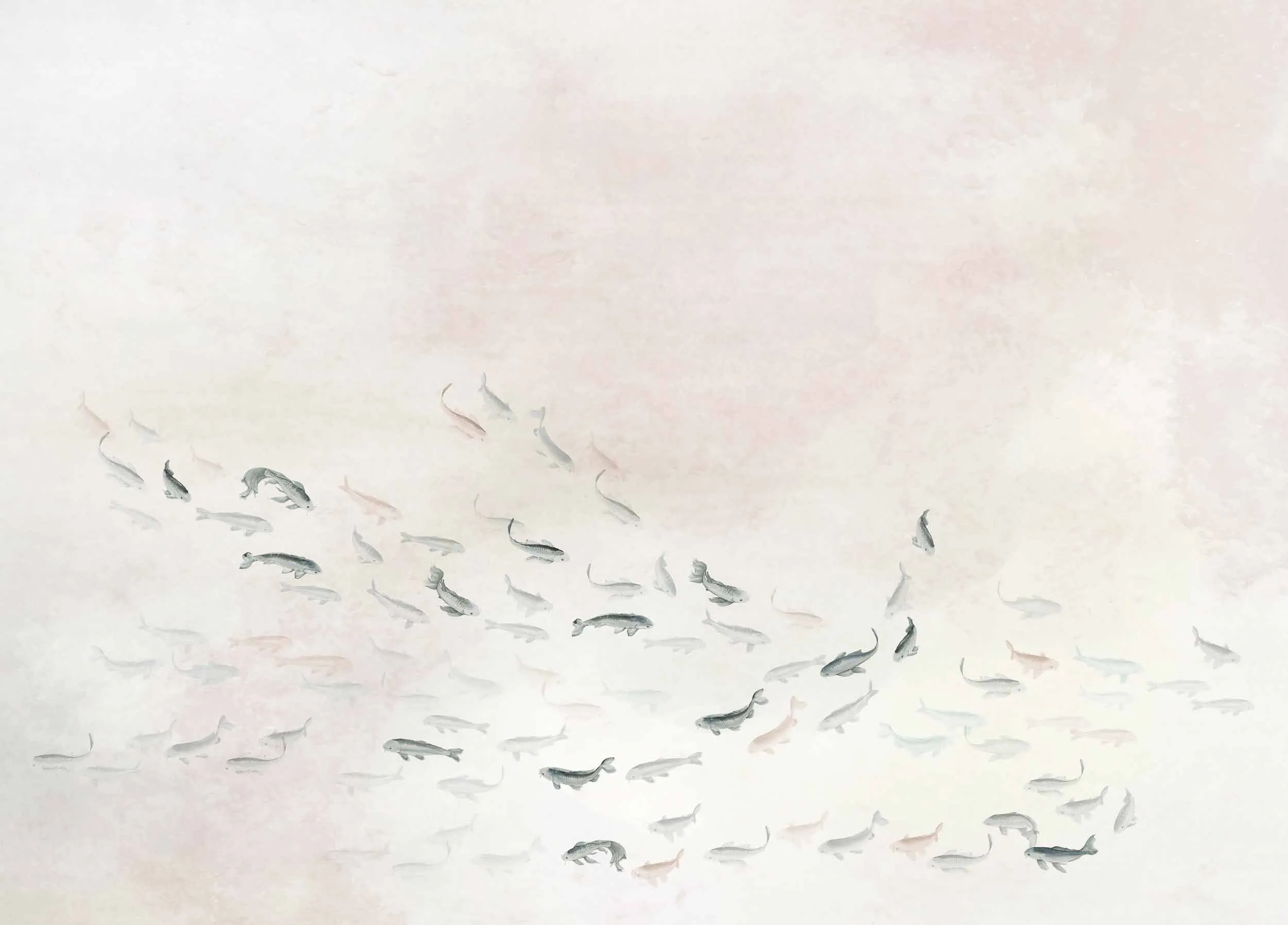 Koi Swan