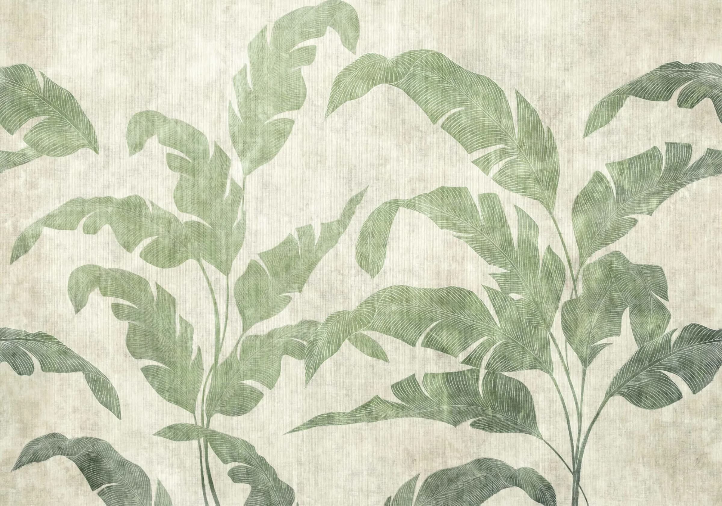 Leaves Shadow