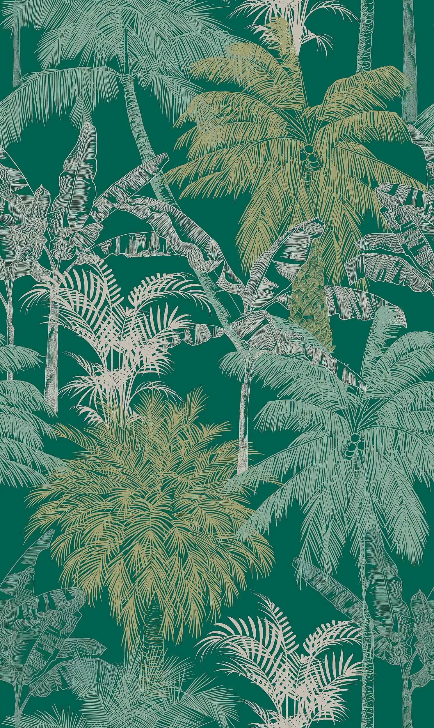 Palms