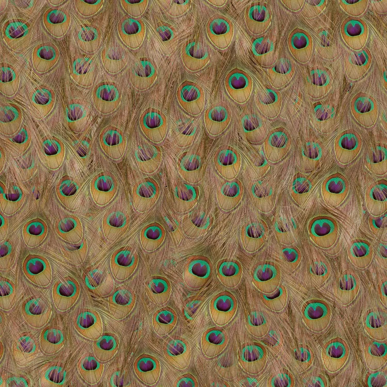 Peafowl