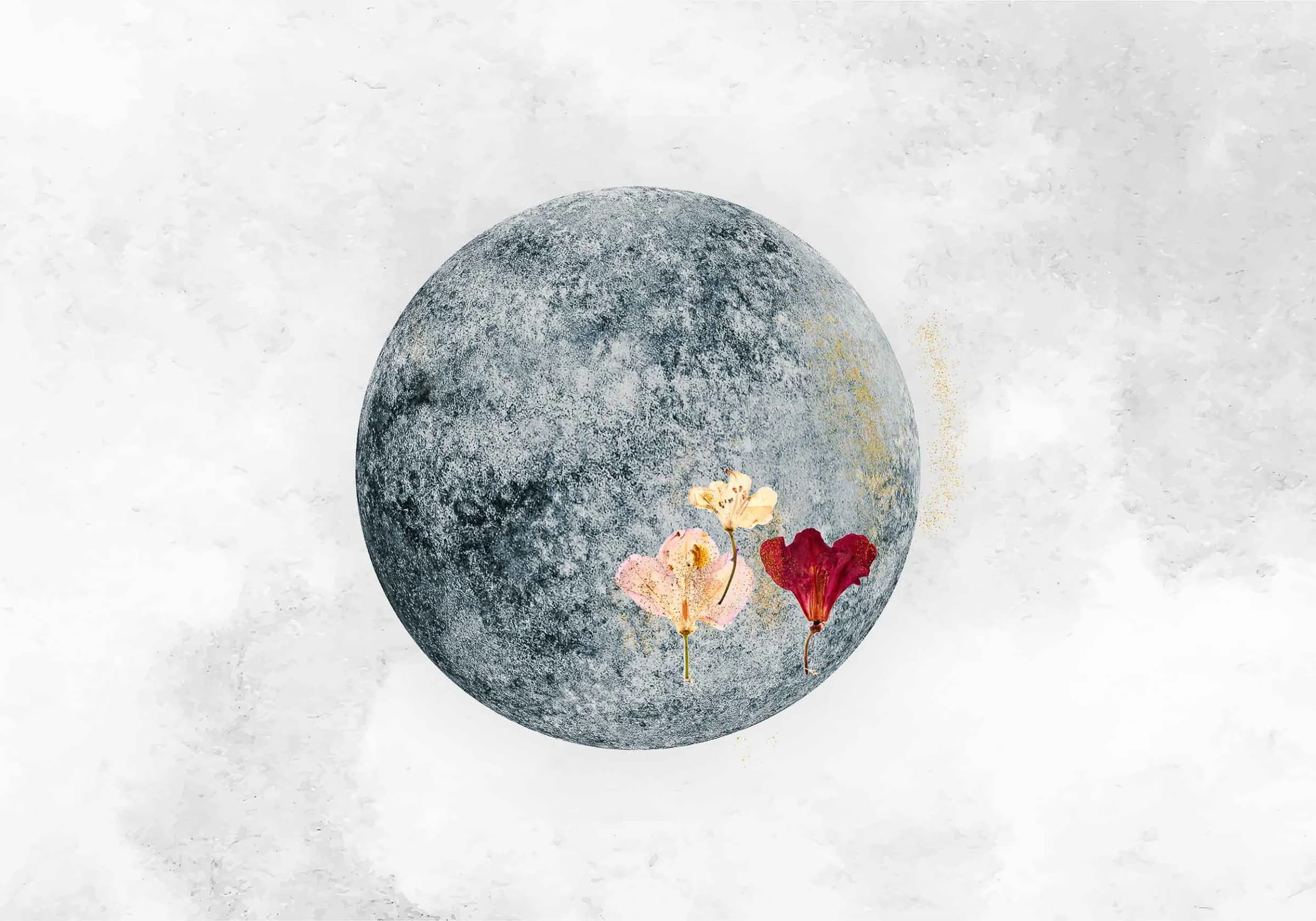 Full Moon