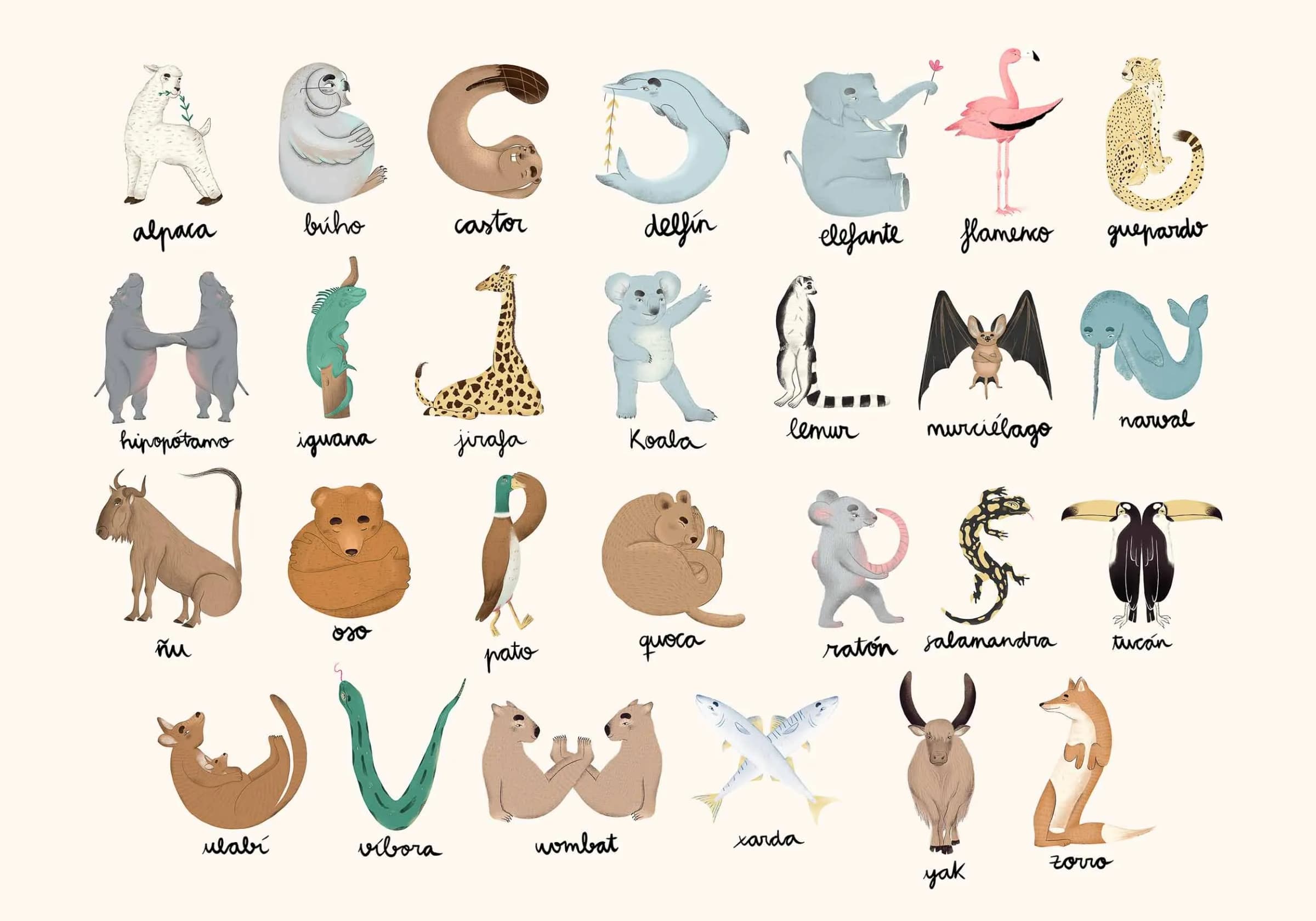 Animal Alphabet
