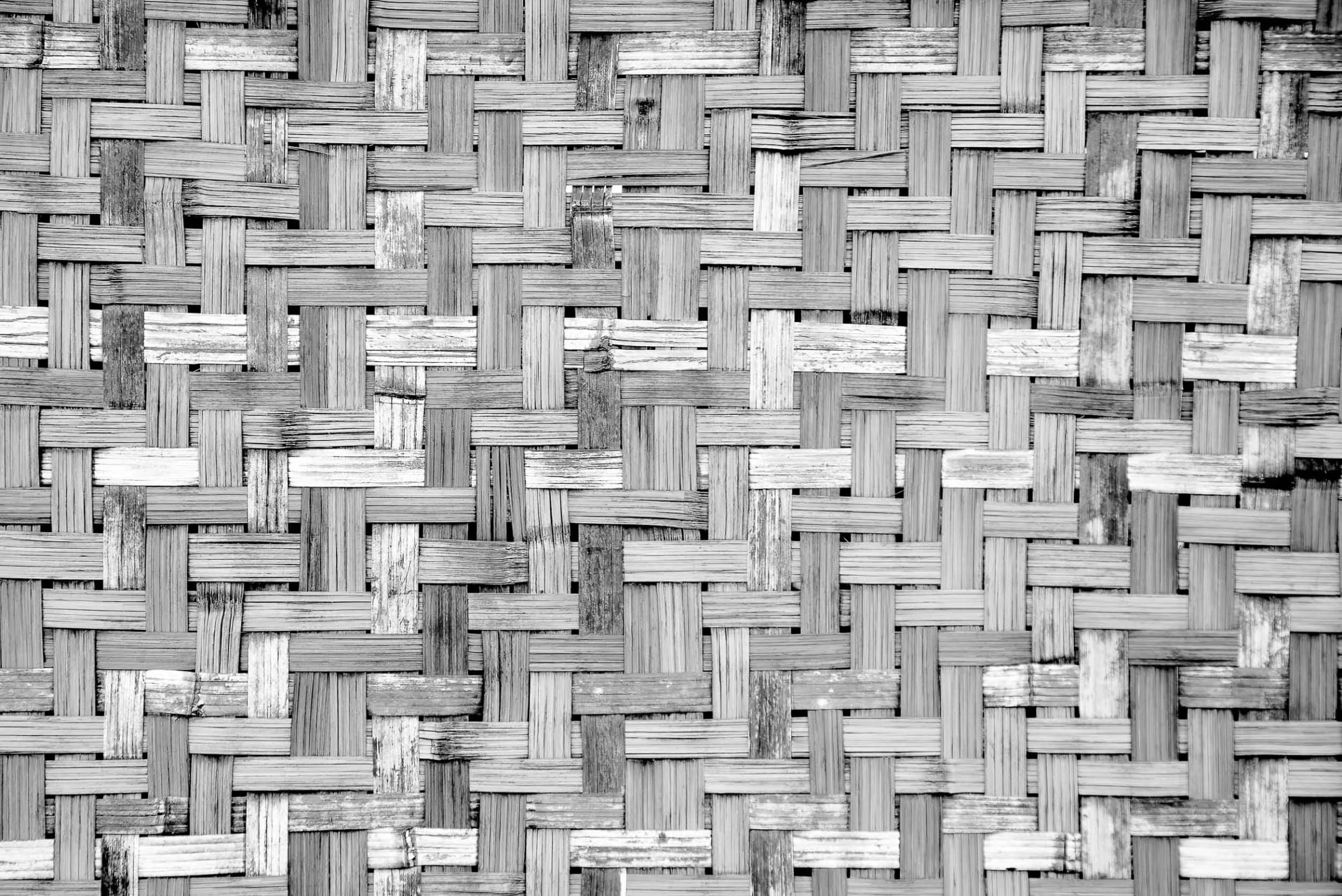 Palm tree frame