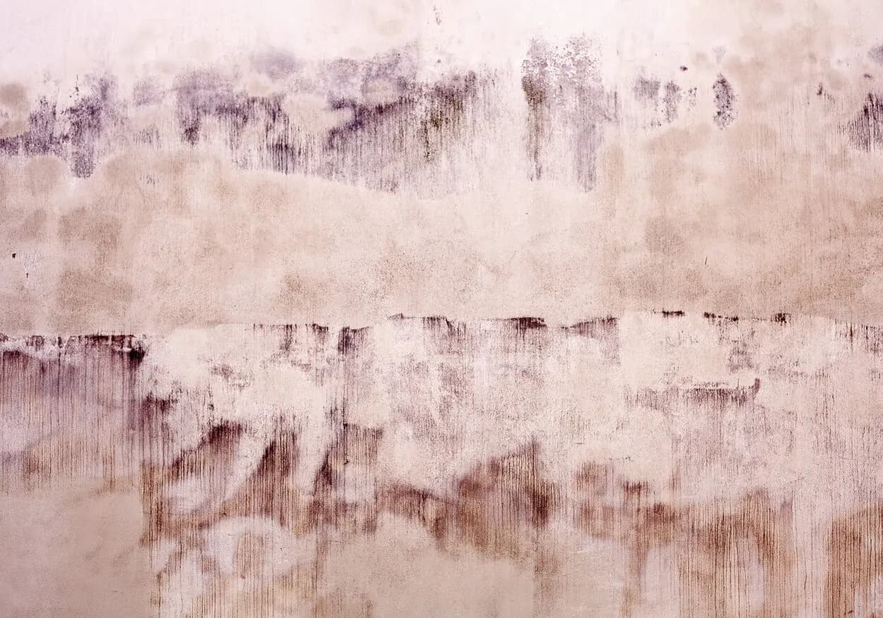 Pink old wall